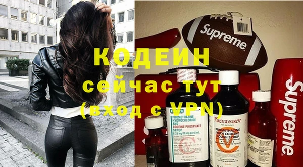 хмурый Алексеевка
