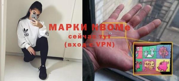 PSILOCYBIN Алзамай