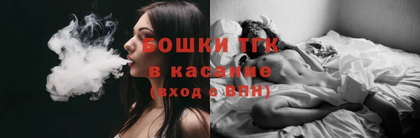 PSILOCYBIN Алзамай