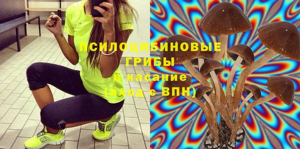 хмурый Алексеевка