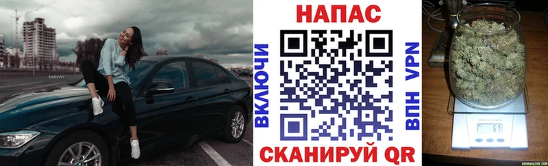 Бошки Шишки VHQ  купить  цена  Нестеров 